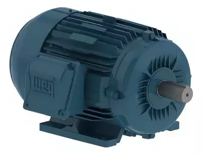 Motor Elétrico Trifásico 4p 1cv 220/440v Ip55 11638247 Weg