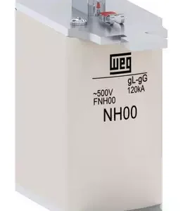 Fusivel Dz 63a Diii 500v Retardado Fdw-63s 10409865