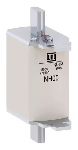 Fusivel Dz 63a Diii 500v Retardado Fdw-63s 10409865