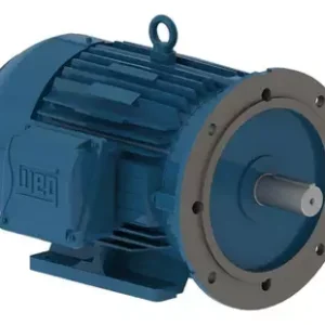 Motor Elétrico Trifásico 15cv 220/440v Ip55 W22 11706060 Weg